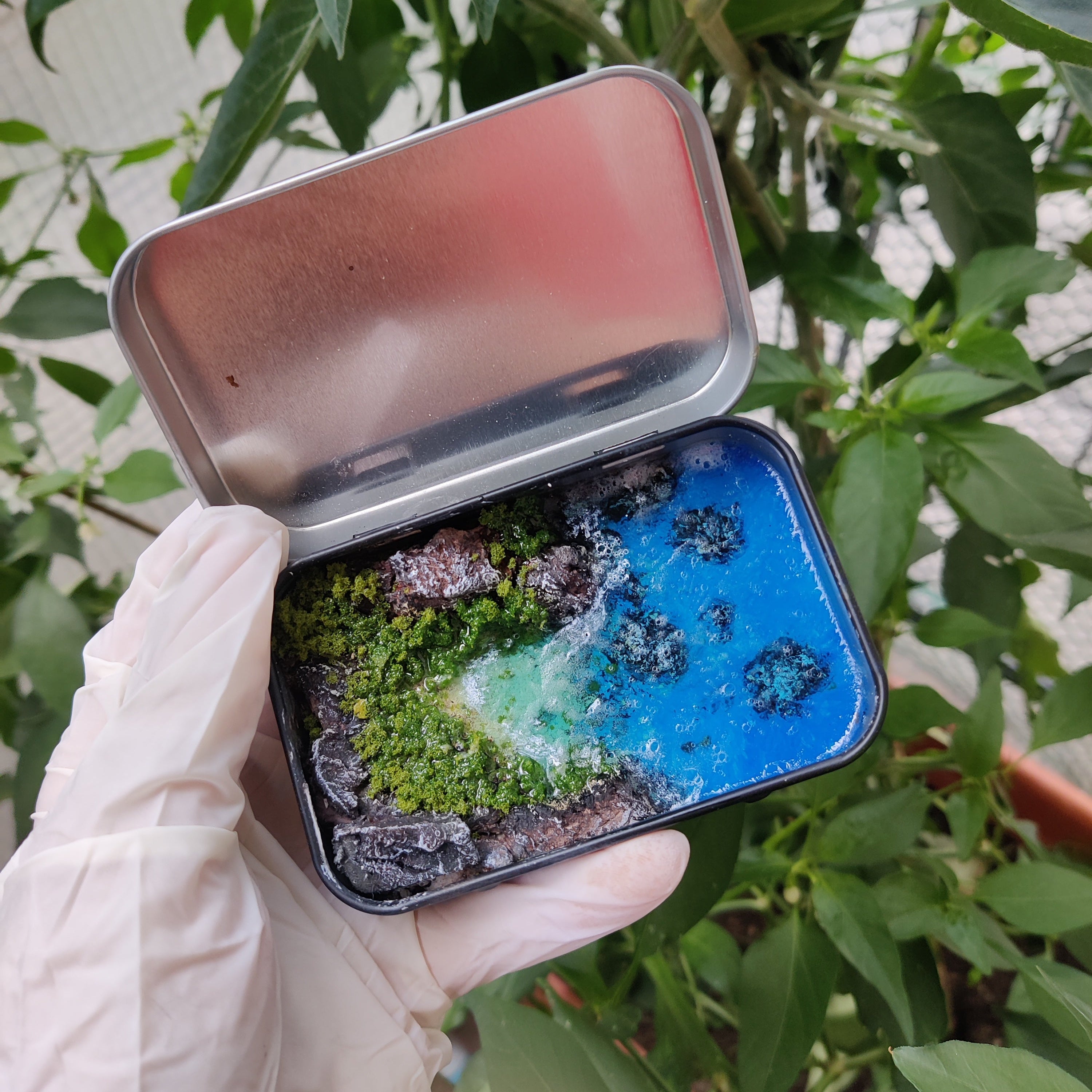 Scatolina di latta aperta che rivela un micro-mondo tropicale, posata su sabbia con elementi naturali.