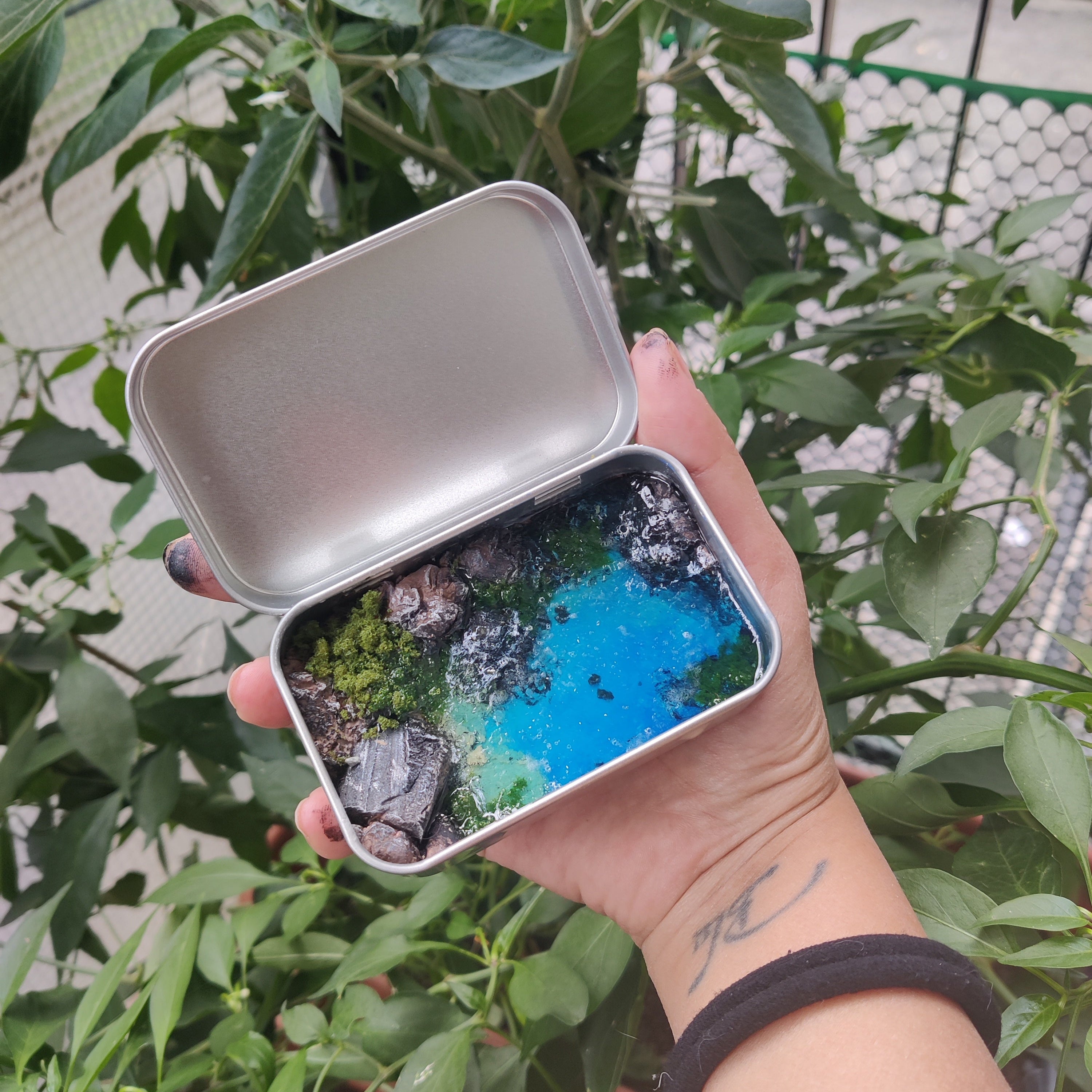 Oggetto di design Paradise Box con paesaggio naturale in miniatura, ideale come decorazione zen da tavolo.